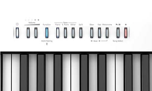 Roland FP-30 Botões de Piano