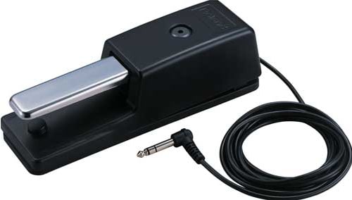 O pedal de efeitos Roland DP-10