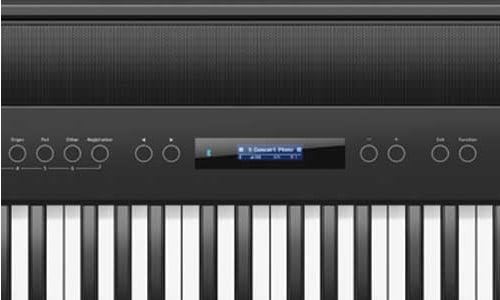 Roland FP-60 botões de piano