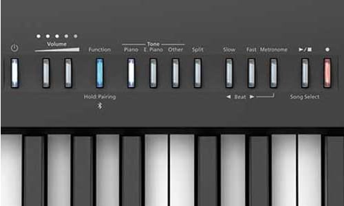 Gravador de Som Piano Roland FP-30X