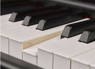 A acção-chave NWX da Yamaha P-515