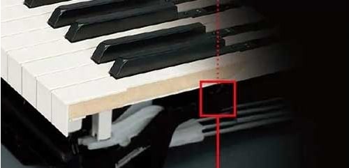 A acção-chave NWX da Yamaha P-515