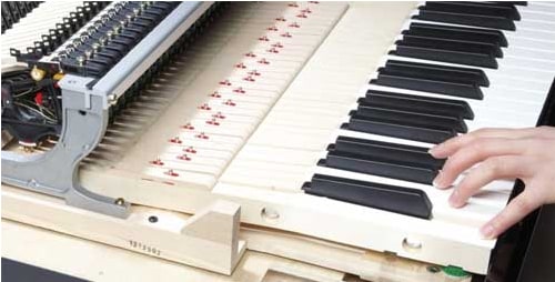 A acção-chave NWX da Yamaha P-515
